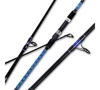 Fiblink Surf Spinning - Caña de Pescar de Carbono para Viajes, 4 Piezas, caña de Pescar giratoria de Agua Salada de 9 pies
