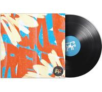 Fickle Friends – Fickle Friends – Vinilo (Importación USA)