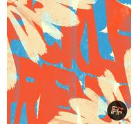 Fickle Friends Fickle Friends (Vinyl) 12" Album