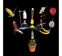 Fiction - The Big Other