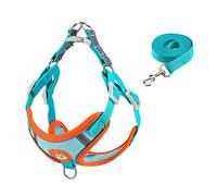 Fictory Arnés para perro de poliéster transpirable para seguridad nocturna, juego de correa canina ajustable, cómoda correa para caminar para viajes al aire libre, azul lago, L