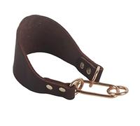 Fictory Collar ancho de galgo y látigo, cuero de vaca artificial remachado duradero para galgos, tamaño de cuello de 33 cm, color marrón