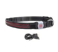 Fictory Collar LED para perro recargable por USB, collar de seguridad nocturna para perros y gatos pequeños, rojo, S