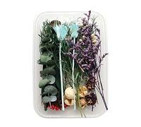 Fictory Juego de accesorios de flores secas, 10 temas de color verde con pino doncella y eucalipto, flores preservadas naturales para manualidades, álbumes de recortes, decoración del hogar y arte de