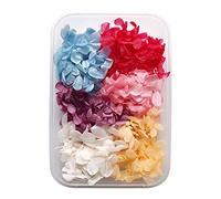 Fictory Kit de manualidades de flores secas mixtas, surtido floral preservado natural con hortensias, eucaliptos, conos de pino para álbumes de recortes, decoración del hogar, arte de resina y