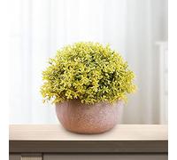 Fictory Planta artificial de lágrimas de bebé en maceta de pulpa, planta sintética de media esfera verde para decoración del hogar y la oficina, no requiere mantenimiento