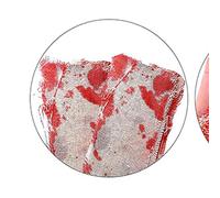 Fictory Tiras de tela de sangre de Halloween, cinturón de advertencia realista de gasa sangrienta para decoración de casa encantada, accesorios de escena de terror para fiestas y eventos, decoración