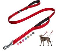 Fida Correa de Perro Resistente de 5 pies con 2 cómodas Asas Acolchadas, Mango de tráfico y Gancho avanzado de fácil presión, Correa Reflectante para Perros de Raza Grande, Mediana y pequeña, Color