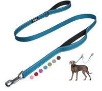 Fida Correa para perro con asas dobles acolchadas, correa reflectante de 1,5 m para perros medianos y grandes, correa de nailon resistente con gancho de metal mejorado fácil de usar para entrenamiento