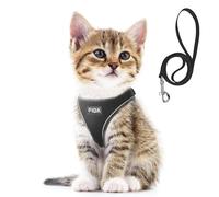 Fida - Set de arnés y correa para gato, para pasear a gatitos y cachorros, arnés antifuga con malla transpirable ligera, ajustable, reflectante, se pone por las patas (XXXS, negro).
