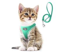Fida - Set de arnés y correa para gato, para pasear a gatitos y cachorros, arnés antifuga con malla transpirable ligera, ajustable, reflectante, se pone por las patas, (XXXS, verde).