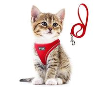 Fida - Set de arnés y correa para gato, para pasear a gatitos y cachorros, arnés antifuga con malla transpirable ligera, ajustable, reflectante, se pone por las patas (XXXS, rojo).