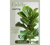 Fiddle Leaf Fig: How to Grow and Care for This Iconic Houseplant