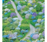 Fiddlehead - Between The Richness - Vinyle Blanc Et Violet [Vinilo]