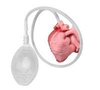 Fidget Toy, Stress Ball, Desk Accessory, Slow-Rebound Squeeze Heart with Realistic Pulse, Prank Sensory Game, Portable Pocket Size for Students, Adults, Partity, Office, Holiday