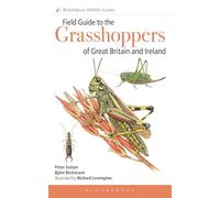 Field Guide to the Grasshoppers and Allies of Great Britain and Ireland: Grasshoppers, Crickets, Earwigs, Cockroaches, Mantids and Stick-insects (Bloomsbury Wildlife Guides)