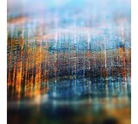 Field Lines Cartographer - Resplendent in the Light of the Universe