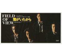 Field of View - Kimi Ga Itakara