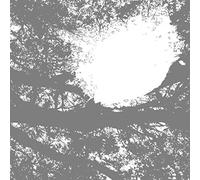 Field Recordings From The Sun – Vinilo – Bada Bing