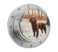 Field Spaniel in The Winter Landscape - Temporizador de cocina de 60 minutos, herramienta mecánica visual de gestión del tiempo para cocinar