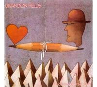 Fields, Brandon - Other Side of Story