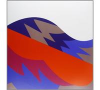 Fiery Furnaces - Remember [Vinilo]