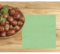 FIESTAS GUIRCA | 20 Servilletas Desechables (16x16 cm) - Decoración de Mesa para Fiestas de Graduación y Celebraciones - Ideal para Eventos de Verano y Fiestas Temáticas - Verde