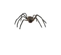 FIESTAS GUIRCA Araña Marrón