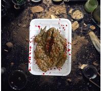 FIESTAS GUIRCA | Bandeja con Sapo (18x13 cm) - Decoración de Miedo para Halloween y Fiestas de Terror - Atrezzo Realista para Escenarios y Celebraciones