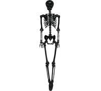 FIESTAS GUIRCA | Esqueleto Negro (90 cm) - Decoración de Halloween para Fiestas y Celebraciones - Ideal para Ambientes Terroríficos y Temáticas de Calaveras y Esqueletos - Negro