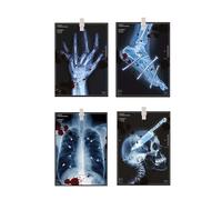 FIESTAS GUIRCA | Guirnalda Radiografías de Papel (300 cm - 16x22 cm) - Decoración de Halloween y Fiestas de Miedo - Ideal para Temáticas de Esqueletos y Atrezzo Terrorífico - Multicolor