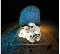 FIESTAS GUIRCA | Pack 6 Calaveras (8 cm) - Decoración de Halloween para Fiestas y Celebraciones de Esqueletos - Ideal para Ambientes Terroríficos y Escenarios de Miedo - Blanco