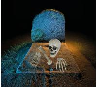 FIESTAS GUIRCA | Set Huesos Esqueleto 4 Piezas - Decoración de Halloween para Fiestas y Celebraciones - Ideal para Ambientes Terroríficos y Escenarios de Miedo - Calaveras y Esqueletos - Blanco