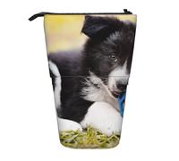 fifbird Border Collie Dogs Puppy Pets - Estuche telescópico para lápices, soporte para lápices con cremallera, bolsa de maquillaje, bolsa para lápices, multicolor, Talla única, Estuche telescópico