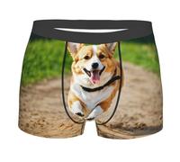 fifbird Calzoncillos tipo bóxer para hombre, con estampado divertido, cómodo, suave, con cinturón elástico, Negro, L