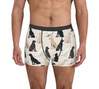 fifbird Calzoncillos tipo bóxer para hombre, diseño de flores de lavanda, suave, transpirable, con cinturón elástico, Perro Labrador Retriever, S