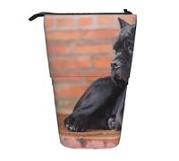 fifbird Cane Corso Big Black Dogs Pets, estuche telescópico para lápices, soporte para lápices con cremallera, bolsa de maquillaje para lápices, multicolor, Talla única, Estuche telescópico
