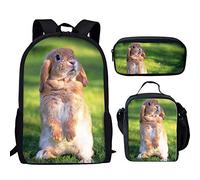 fifbird Conjunto de mochila para niñas con bolsa de almuerzo, estuche para lápices, 3 en 1, lindo animal, bolsa escolar primaria, bolsa de libros para niños, juego de mochila resistente, Conejo lindo,