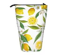 fifbird Estuche telescópico con diseño de ramas exóticas de limonero Yummy Delicious, estuche telescópico con soporte para lápices con cremallera, bolsa de maquillaje para lápices, multicolor, Talla