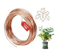 FIFIBANG Vesaneae Alambre de Cobre 2.0mmx 10m, T2 Alambre de Cobre Puro Desnudo para Soldadura, Alambre de Cobre Resistente al Desgaste para electro cultura jardinería soldadura eléctrica DIY
