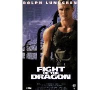 Fight of the Dragon [Alemania] [VHS]