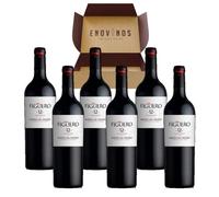 Figuero 12-6 x Botellas Vino tino Ribera del Duero - 100% Tempranillo - Envío 24H - Mejor Selección Enovinos