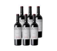 Figuero Asomo Tempranillo - Vino Tinto D.O. Ribera del Duero | Pack de 6 Botellas (75 cl) | Joven, Fresco y con Carácter