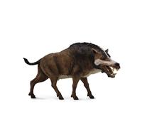 Figura de acción coleccionable CollectA Daeodon Deluxe para edades de 3 años en