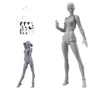 Figura de acción, modelo de dibujo de articulaciones móviles de 5, 9 pulgad