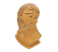 Figura de Acupuntura de Cabeza 20cm Pvc para Enseñanza