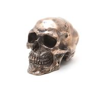 Figura de calavera de esqueleto con acabado en bronce de 3,25 pulgadas de Pacific Giftware PTC