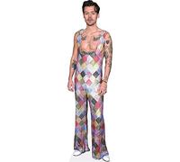 Figura de cartón de Harry E. Styles (Colourful) a tamaño Real - Decoración para Fiestas, cumpleaños y photocall - Soporte Plegable Incluido