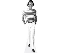 Figura de cartón de Julio Iglesias (Casual) a tamaño Real - Decoración para Fiestas, cumpleaños y photocall - Soporte Plegable Incluido
