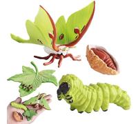 Figura de ciclo de vida genérica - PP | Moon Moth Butterfly Turtle Ant Frog Life Cycle Sculptures | Animal Figurilla Set for Kids Children Science Learning